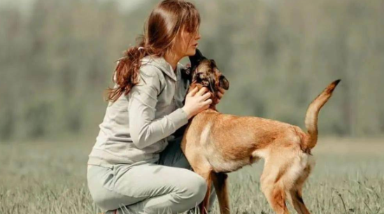 狗狗打喷嚏流清涕，是感冒吗？