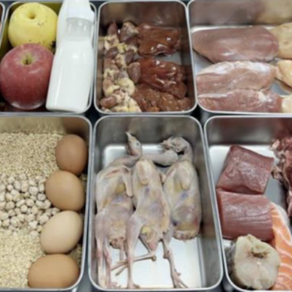 什么狗粮适合新手?臻宠粮为狗狗做“成长营养餐” 什么狗粮适合新手?臻宠粮为狗狗做“成长营养餐”