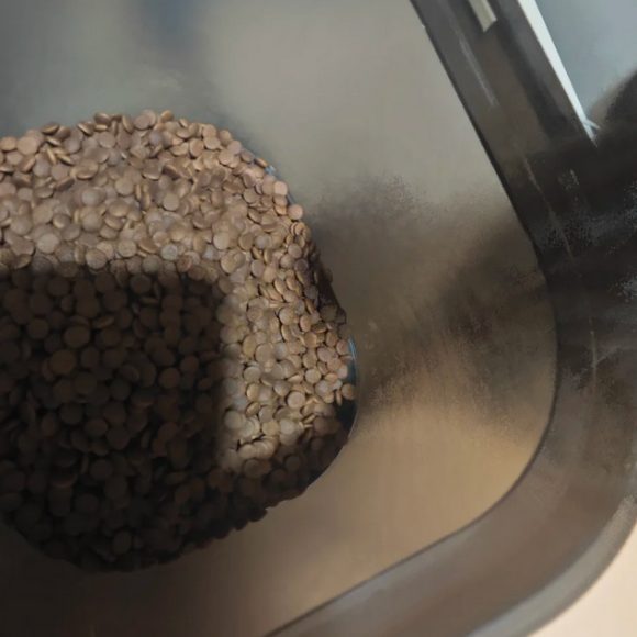 什么猫粮比较火？“肠胃安心粮”——好膳师