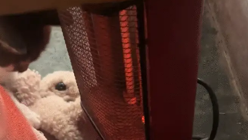 女子把小太阳挪到自己这边,猫咪又给挪了回去。猫:我不冷吗 女子把小太阳挪到自己这边,猫咪又给挪了回去。猫:我不冷吗