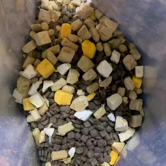 什么猫粮营养高？鲸宴老粉速囤