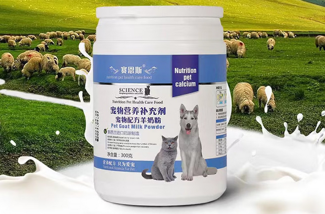 赛恩斯是什么品牌