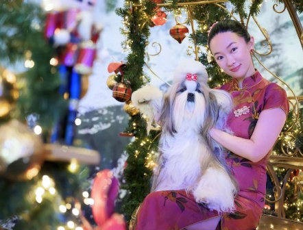 霍思燕爱犬在国际比赛夺冠，杜江发文：开心疯了！创造历史