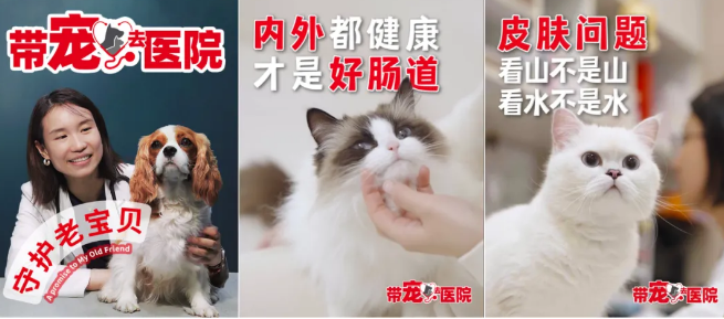 皇家“带宠去医院”焕新升级,8年深耕打通宠物健康服务链 皇家“带宠去医院”焕新升级,8年深耕打通宠物健康服务链