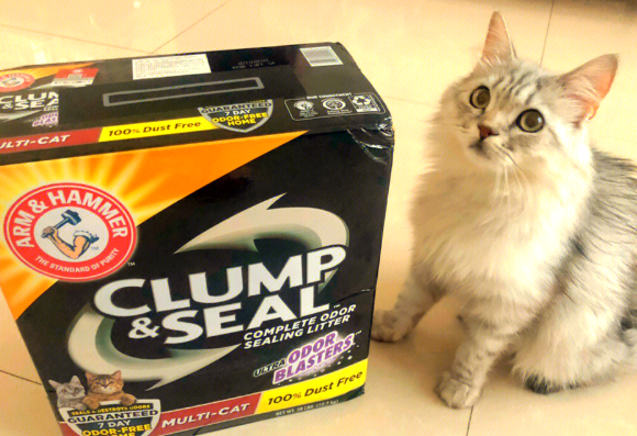 2025上班族选什么猫砂更合适?实锤猫砂吊打同价位竞品 2025上班族选什么猫砂更合适?实锤猫砂吊打同价位竞品