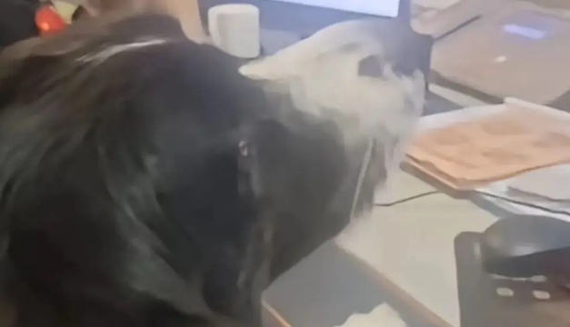 狗的牵引绳和项圈被偷，气得在监控室一个个找嫌疑人