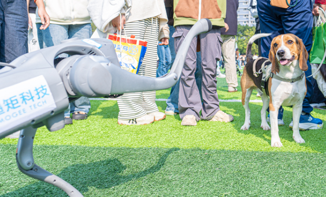 科学养宠,温情相伴:第十九届华南(广州)宠物嘉年华在华农举行 科学养宠,温情相伴:第十九届华南(广州)宠物嘉年华在华农举行
