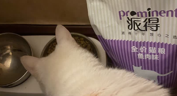 2025年12月国产十大便宜最好猫粮揭晓,高性价比派得猫粮入选! 2025年12月国产十大便宜最好猫粮揭晓,高性价比派得猫粮入选!