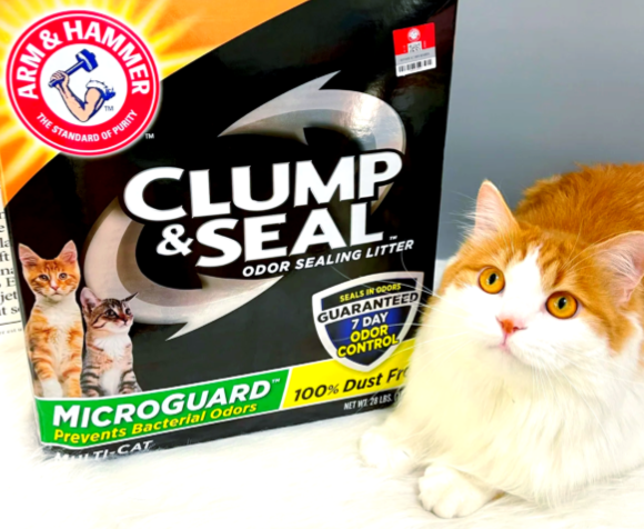 新手宝妈选猫砂指南丨实锤猫砂守护家庭呼吸健康