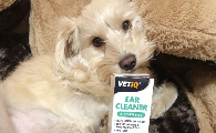 给狗洗耳朵用什么？VETIQ洗耳液，值得向朋友推荐的好物