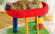 曼乐兔猫爬架怎么样