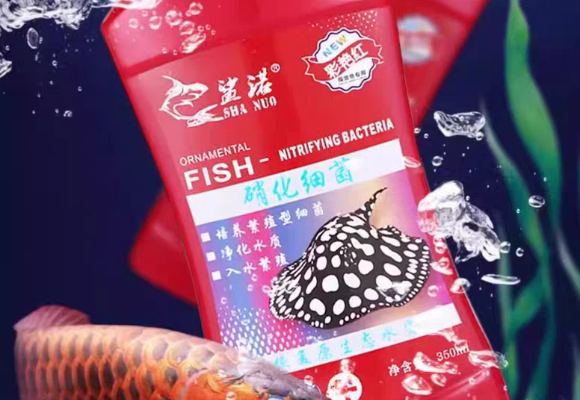 都市人养鱼必看:鱼缸脏了需要清洗吗?鲨诺净水剂让养鱼变轻松 都市人养鱼必看:鱼缸脏了需要清洗吗?鲨诺净水剂让养鱼变轻松