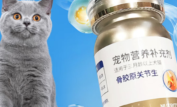 贝滋康宠物营养补充剂适口性好不好
