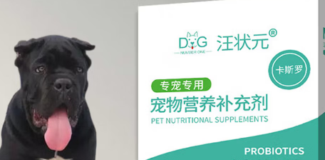 汪状元是什么牌子