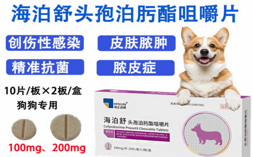 海泊舒