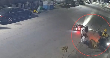 未拴绳狗追咬路人！肇事犬主人已被拘