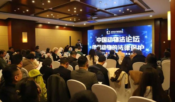 首都爱护动物协会在京举办研讨会呼吁完善法律保护体系