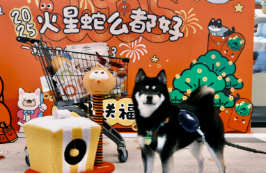 疫情关店，却迎来真正“开业”：火星宠物超市的温暖出圈记