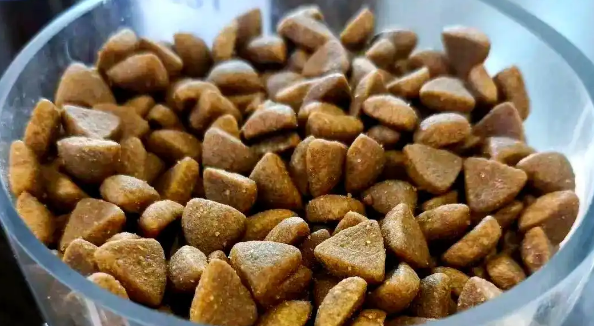 标 “治疗泪痕” 就被罚？宠物食品电商从包装到宣传的红线在哪