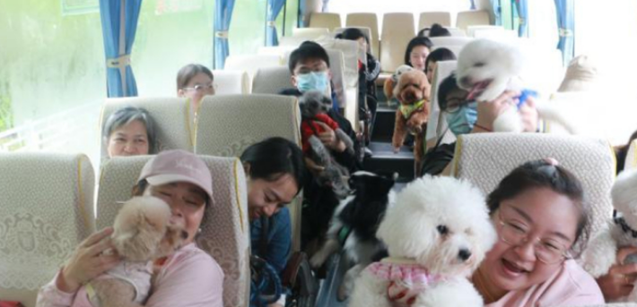 带着“宠物”去旅行?精细化养宠趋势催生旅游新业态