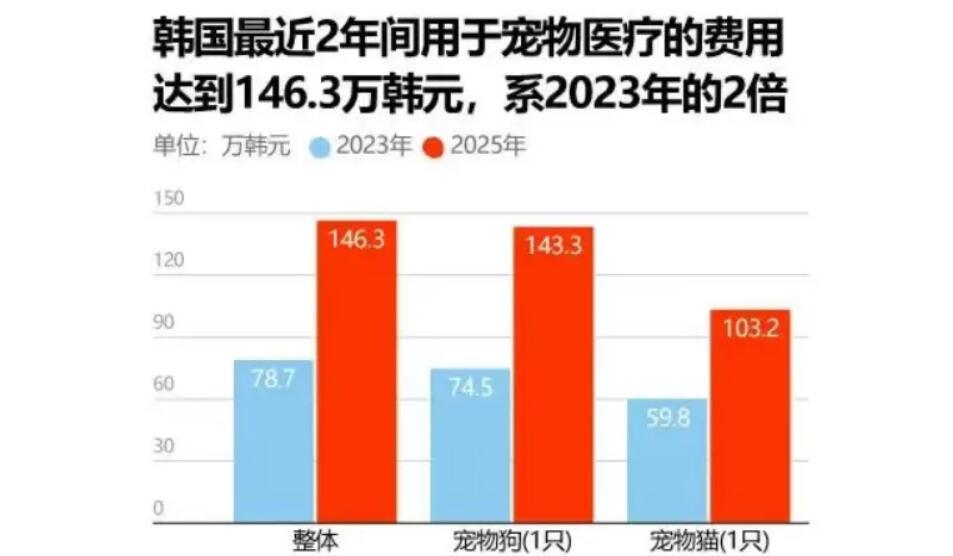 养宠月均花费922元，韩国“宠物通胀”何去何从？