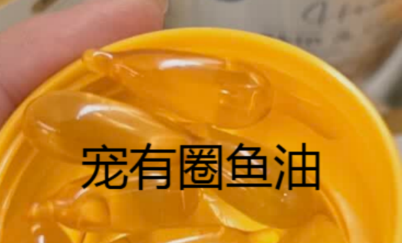 宠有圈鱼油怎么样