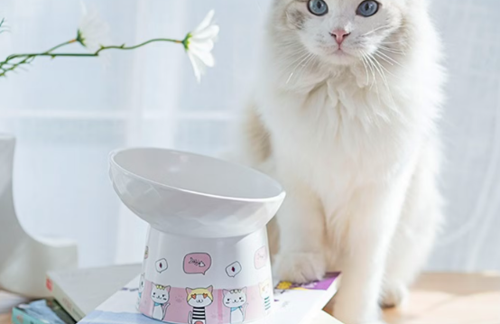 虹弦见猫碗放在什么位置比较好