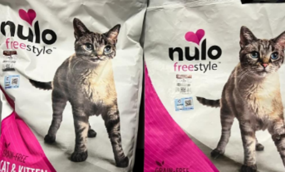 进口宠粮卖爆！Nulo直播间互动量的跨境掘金密码