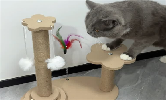 梗佶猫爬架有必要买吗