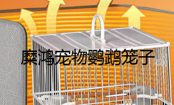 糜鸿宠物鹦鹉笼子怎么布置
