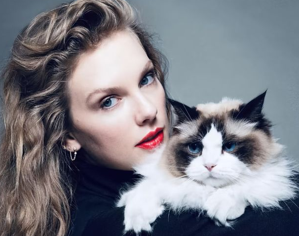 时尚圈的终极战场，为何是毛孩子