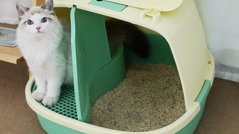吉常宝全封闭猫砂盆真的防臭吗 吉常宝全封闭猫砂盆真的防臭吗