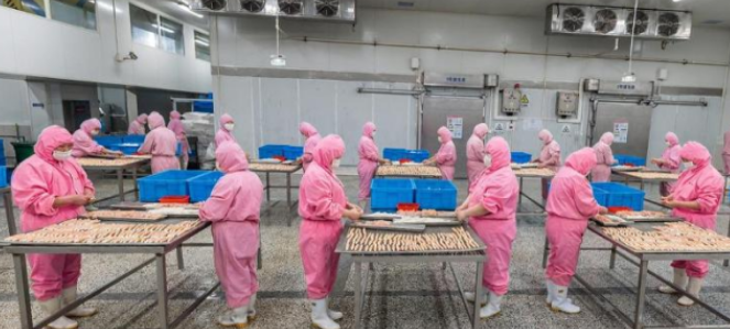 全国三成宠粮山东造——“毛孩子”们的饭碗撑起山东百亿规模的“产业神话”