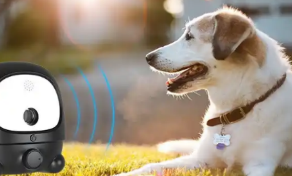 超声波训狗器爆火！850万播放的暴利密码，工厂已赚疯