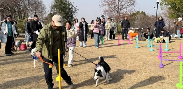 “毛孩子”在泰晤士小镇开派对! “毛孩子”在泰晤士小镇开派对!