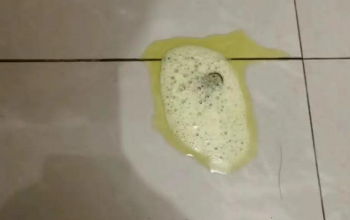 狗狗呕吐吐黄水怎么办