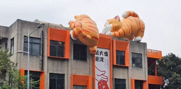 南滨路流浪猫治愈地标走红!萤火虫港湾猫猫主题乐园 南滨路流浪猫治愈地标走红!萤火虫港湾猫猫主题乐园