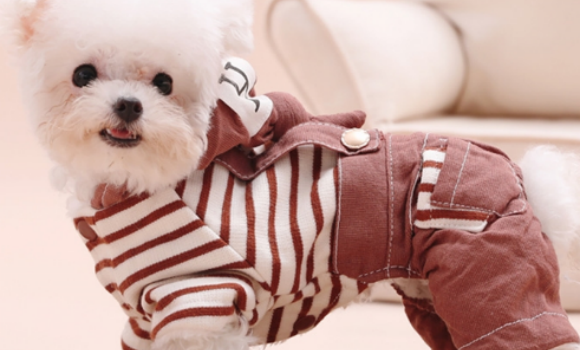 耐克阿迪杀入的宠物服饰赛道，藏着你的跨境掘金密码