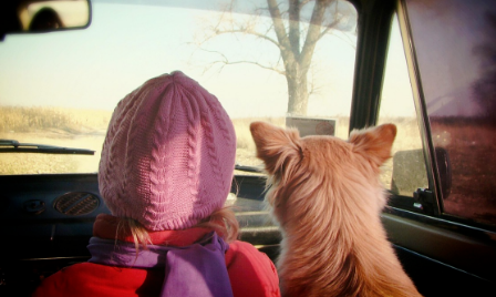 麦德氏：宠物食品和药品价格为何居高不下