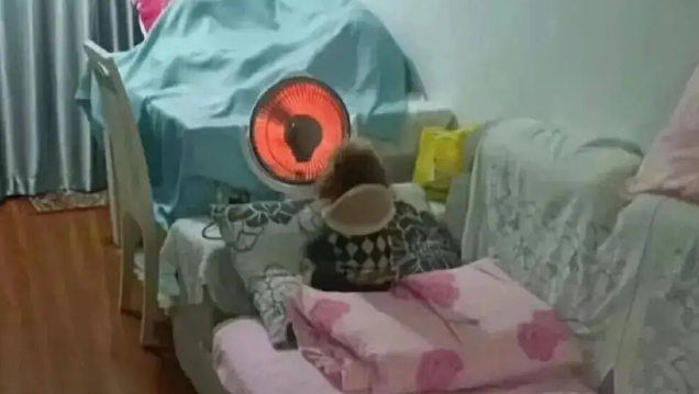 狗狗烤小太阳取暖烤到冒白烟，主人吓哭：都闻到糊味儿了