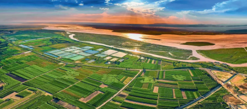 又一大省发力宠物经济，消费规模达58亿，总营业额7亿