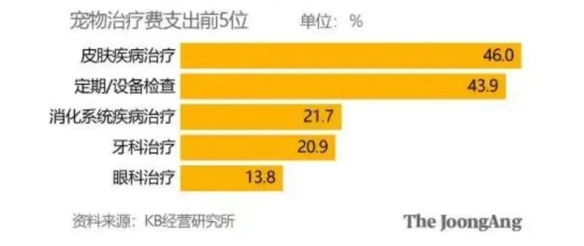 养宠月均花费922元，韩国“宠物通胀”何去何从？