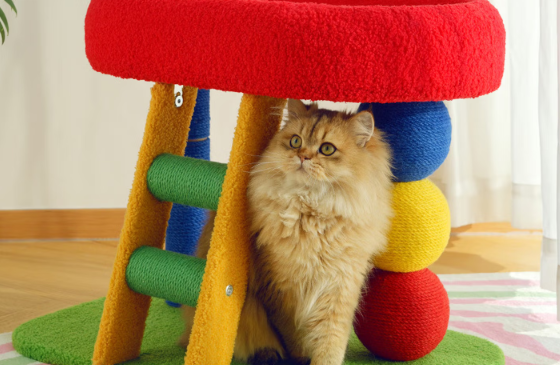 曼乐兔猫爬架有必要买吗