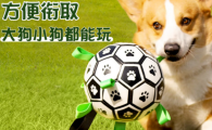 赛普达狗狗互动足球需要买吗