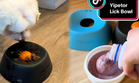 PetPivot:狗碗出海大爆,50天卖了200万 PetPivot:狗碗出海大爆,50天卖了200万