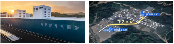 当宠物行业集体“重资产”，鲜朗为何能成大赢家？