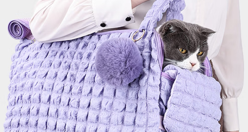 汪喵娘娘猫包能上地铁吗