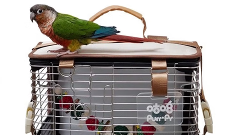 咕噜鹦鹉外出笼怎么选