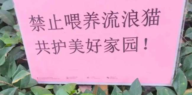 流浪动物哪来的？宁波一小区禁止投喂流浪猫，业主怒斥凭什么禁止
