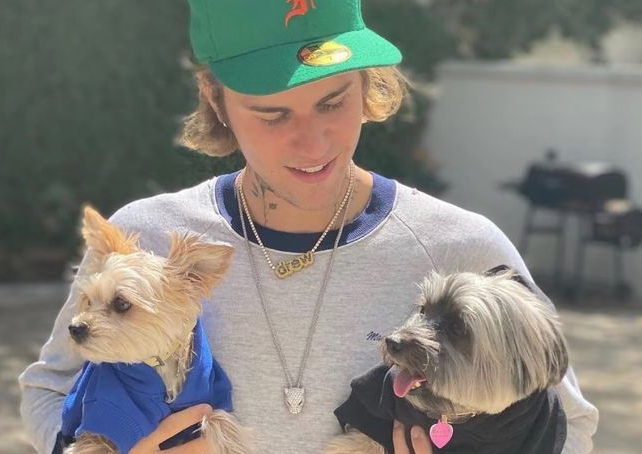 时尚圈的终极战场，为何是毛孩子